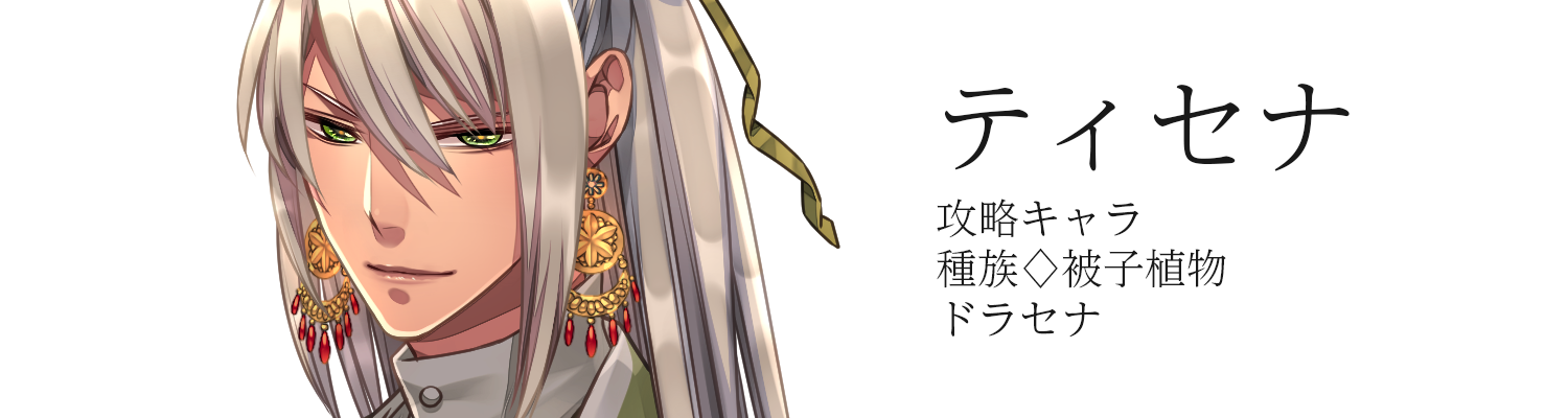 セティナ