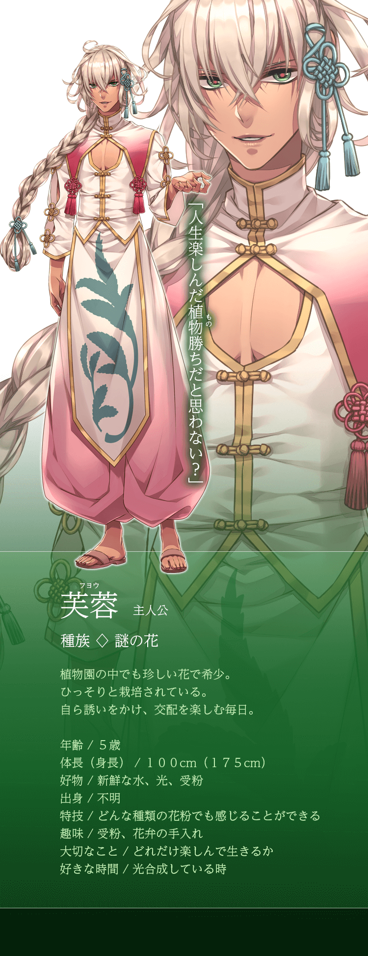 芙蓉
