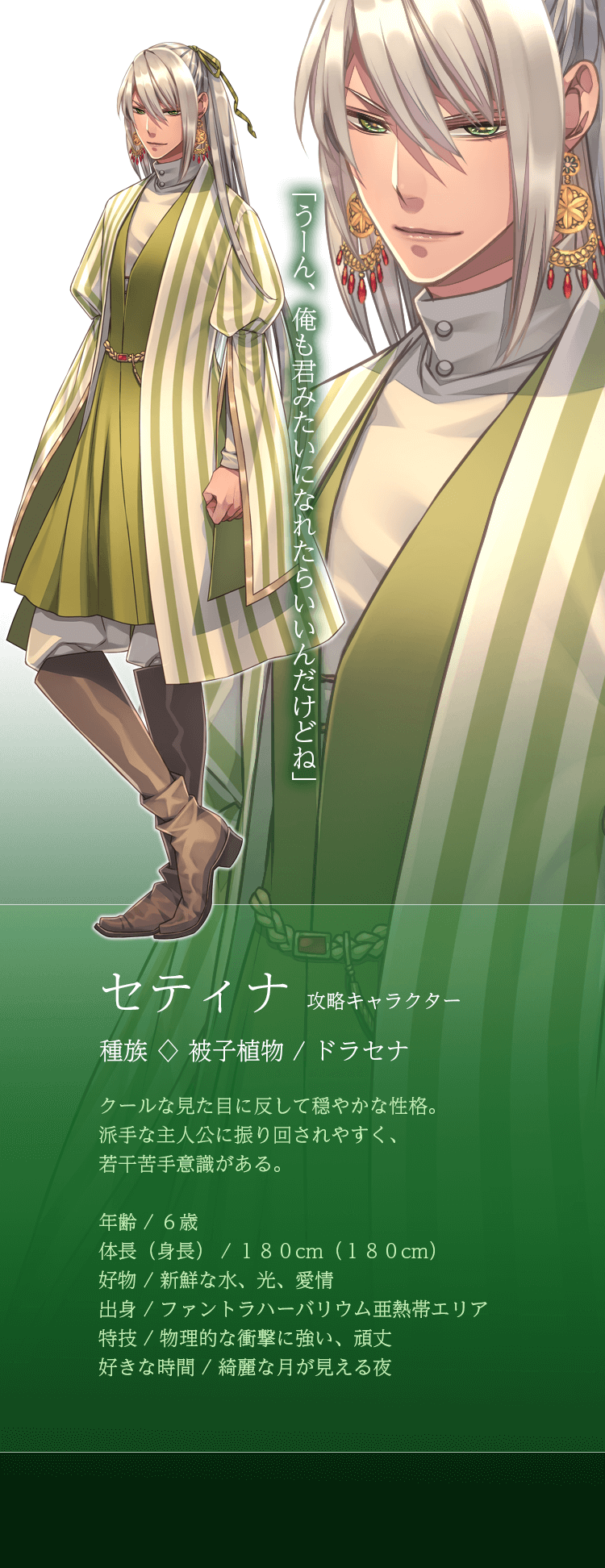 セティナ