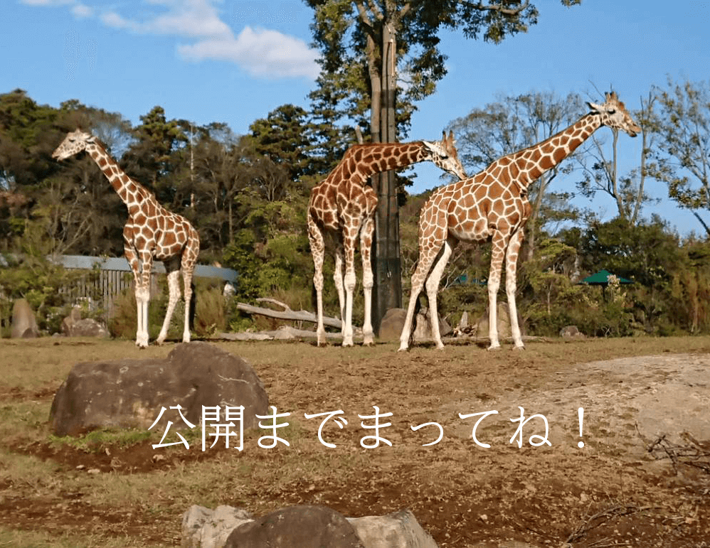 公開までまってね！