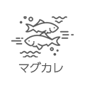 マグカレ