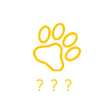 ？？？